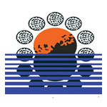 شرکت سیمان مازندران